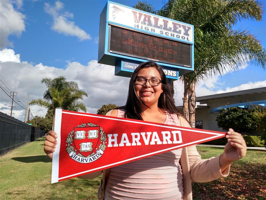Harvard Bound Harvard Bound